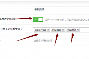 ripro子主题jizhi-chlid极致主题设置最新发布