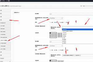ripro子主题jizhi-chlid极致主题cms分类文章模块设置