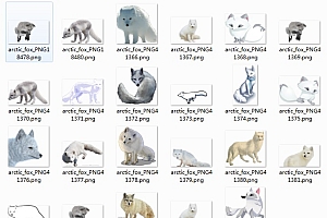 北极狐PNG格式图集