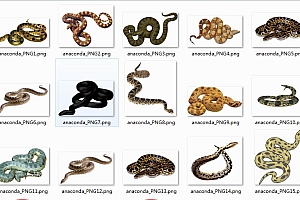 蟒蛇PNG图集