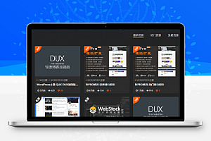 RIPRO主题美化-资源类型判断图标