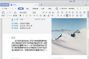 WPS Office 2019 Pro v11.8.2.10393 免激活专业增强政府版