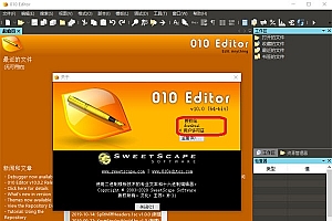 010Editor_105335中文破解版