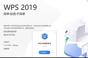WPS Office 2019 v11.8.2.8053 政府专业版
