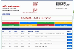 【亲测】勇帅米表系统_域名展示出售系统 PC+H5双端自适应页面