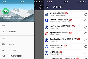 2025ARM网络验证 支持一键云注入引流弹窗注册机 一键脱壳APP加固搭建程序源码及教程