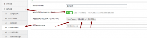 ripro子主题jizhi-chlid极致主题设置最新发布-果核网