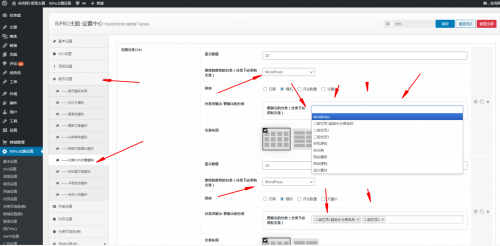 ripro子主题jizhi-chlid极致主题cms分类文章模块设置-果核网