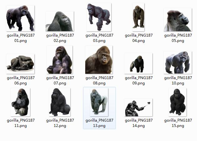 大猩猩PNG图集
