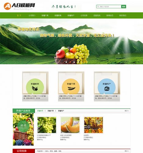 农业绿色生态水果企业dede源码-果核网