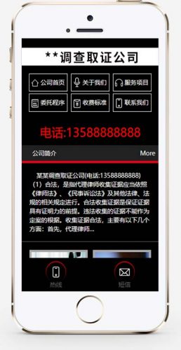 (带手机版数据同步)调查取证商务商业个人律师服务类织梦企业模板-果核网