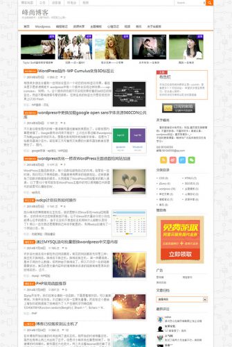 wordpress中文主题：博客sugaostyle主题-果核网