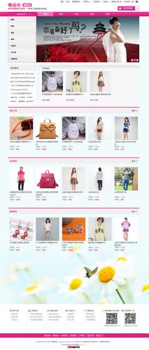 唯品会2014简洁版ecshop模板(GBK+UTF8)-果核网
