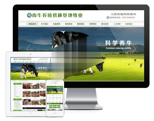 易优cms肉牛养殖供种基地牧业公司网站模板源码 带手机端-果核网
