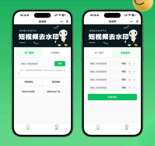 2026最新去水印小程序源码 v1.6.5 带流量主-果核网
